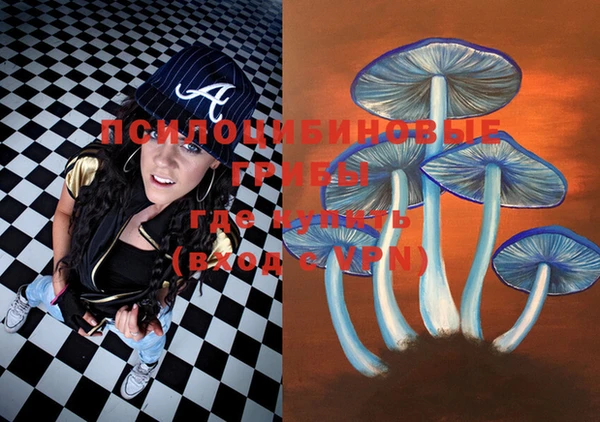 PSILOCYBIN Беломорск